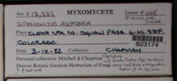 Image Associated With the Occurence